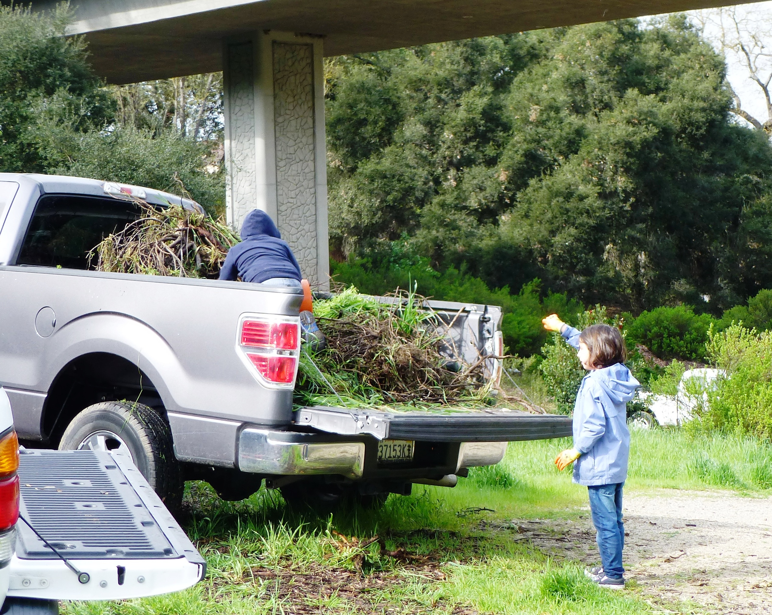 Atascadero Helpers load weeds into the truck!